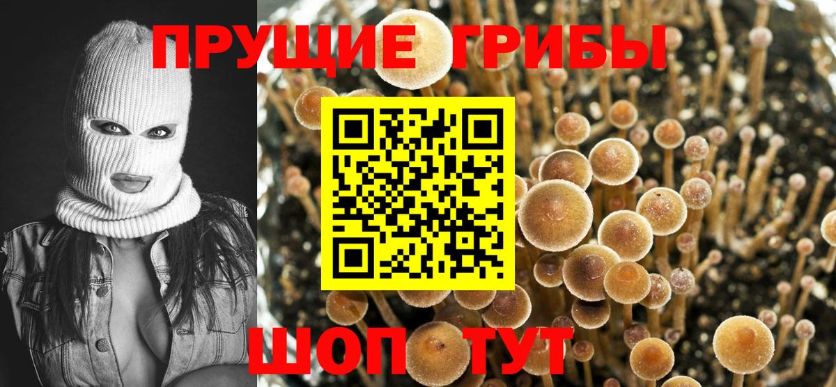 Галлюциногенные грибы мухоморы  Галлюциногенные грибы мухоморы  где можно купить   Вход с VPN  Кизляр 